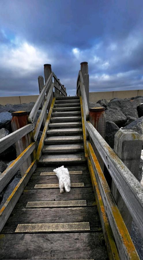 Camber Sands Seascape Horizon Decked Villa Dog Friendly Exterior foto